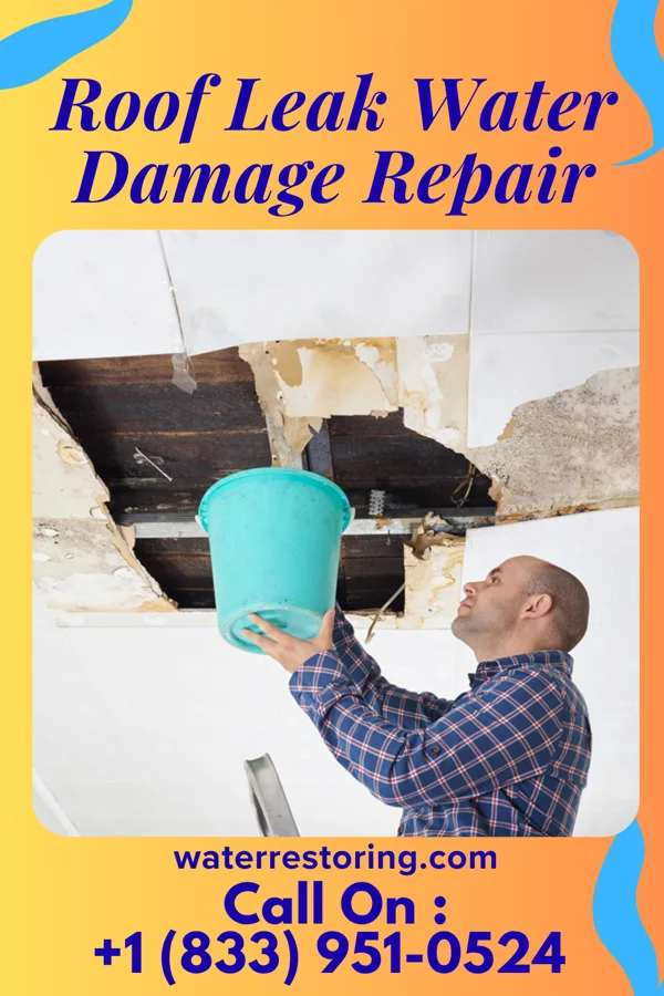 Roof Leak Water Damage Repair in Ladysmith, WI