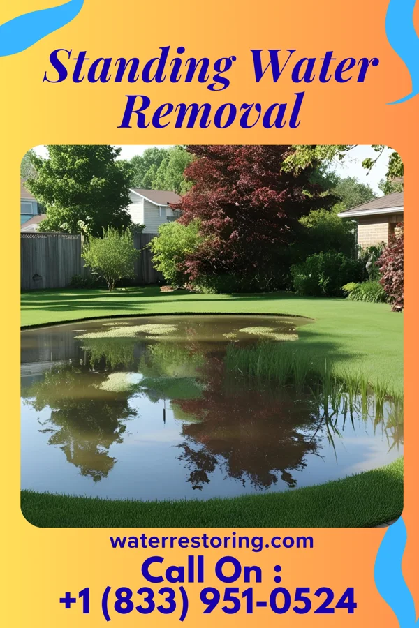 Standing Water Removal in Ladysmith, WI